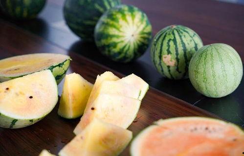 娱乐吃瓜酱浙江