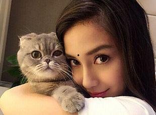 娱乐圈猫猫吃瓜图片,萌态十足揭秘明星幕后趣闻