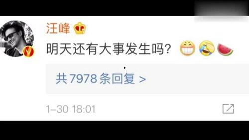 娱乐吃瓜公众号,揭秘明星幕后故事，带你领略明星圈层风云