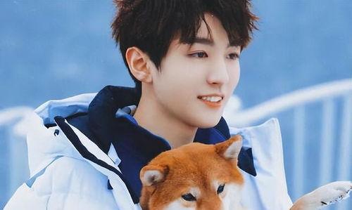 吃瓜娱乐圈王俊凯,娱乐圈的瓜田明星