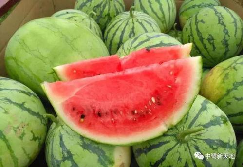 今日吃瓜每日吃瓜热门大瓜娱乐,娱乐圈风云再起，吃瓜群众热议不断