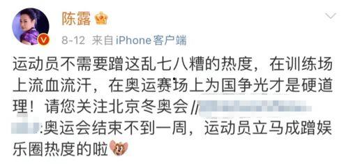 娱乐吃瓜蜀黍广告语怎么写,揭秘娱乐圈幕后故事，带你畅游八卦海洋